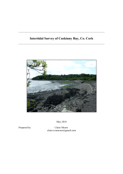 Cuskinny Seashore Survey 2010 compressed