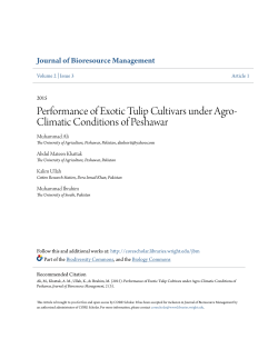 Performance of Exotic Tulip Cultivars under Agro