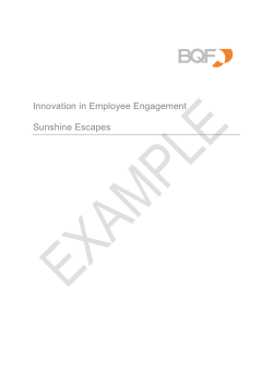 Innovation in Employee Engagement Sunshine Escapes