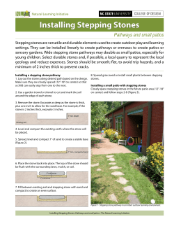 Installing Stepping Stones - Natural Learning Initiative