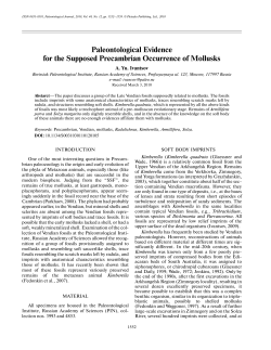 Paleontological Evidence for the Supposed Precambrian