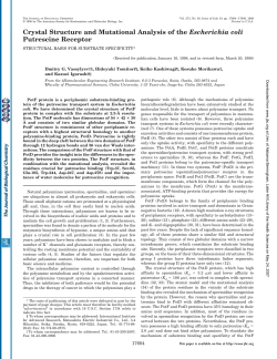 Crystal Structure and Mutational Analysis of the Escherichia