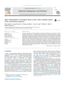 Algal endosymbionts in European Hydra strains reflect multiple