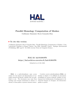 Parallel Homology Computation of Meshes