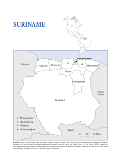 Suriname - Health Information and Analysis