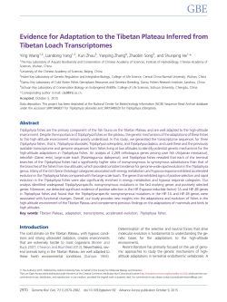 Evidence for Adaptation to the Tibetan Plateau Inferred from Tibetan