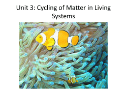 File - miss klassen`s page