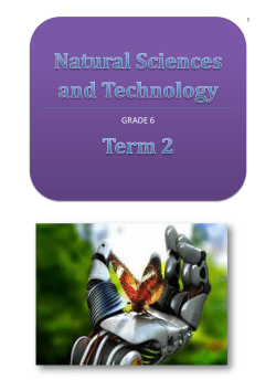 grade 6 - Tom Newby School