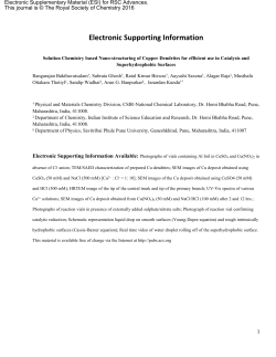 Electronic Supporting Information