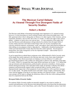 The Mexican Cartel Debate