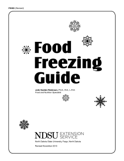 Food Freezing Guide