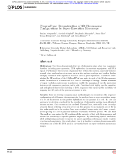 ChromoTrace: Reconstruction of 3D Chromosome