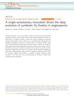 A single evolutionary innovation drives the deep