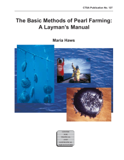The Basic Methods of Pearl Farming