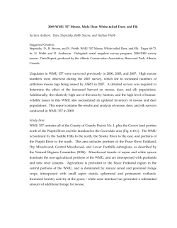 2009 WMU 357 Moose, Mule Deer, White