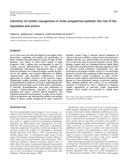 Induction of cardiac myogenesis in avian pregastrula
