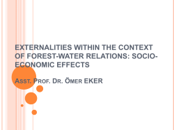 EXTERNALITIES WITHIN THE CONTEXT OF FOREST