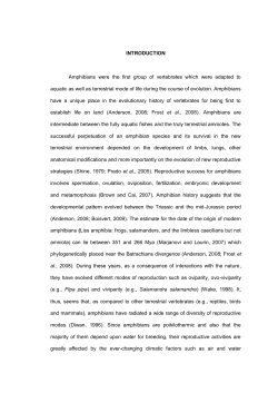 INTRODUCTION Amphibians were the first group of vertebrates