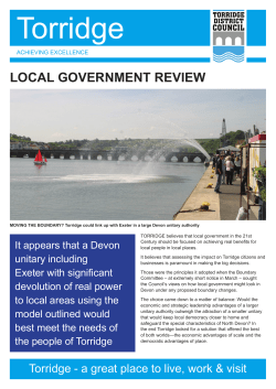 Local Government Review - Torridge District Council