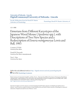 Eimerians from Different Karyotypes of the Japanese Wood Mouse