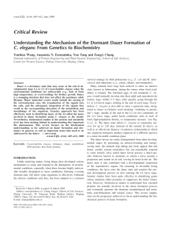 Understanding the mechanism of the dormant dauer formation of C