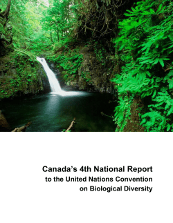 Canada`s 4th National Report to the CBD