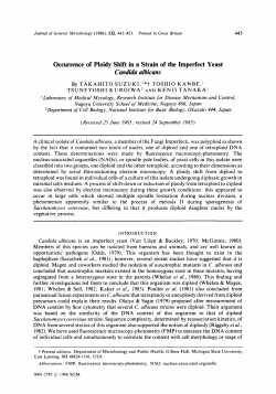 Occurrence of Ploidy Shift in a Strain of the Imperfect