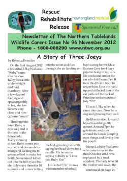 No 96 Nov 2012 - Northern Tablelands Wildlife Carers