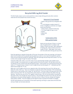 Recycled Milk Jug Bird Feeder