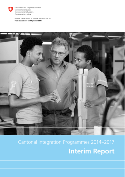 Cantonal Integration Programmes 2014&ndash;2017. Interim Report 2016