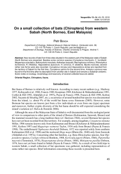 On a small collection of bats (Chiroptera) from western Sabah (North