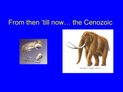 From then `till now&hellip; the Cenozoic
