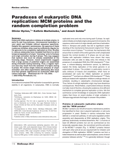 Paradoxes of eukaryotic DNA replication: MCM proteins and the