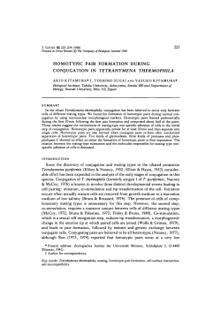 homotypic pair formation during conjugation in tetrahymena