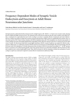 Frequency-Dependent Modes of Synaptic Vesicle Endocytosis and