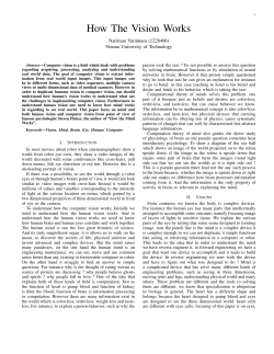 How The Vision Works - Theory and Logic Group