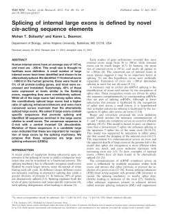 Splicing of internal large exons is defined by novel cis