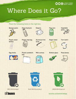 Place the following items in the right bin: