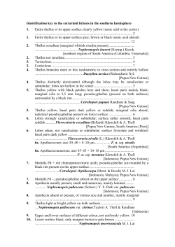 Identification key to the cetrarioid lichens in the southern