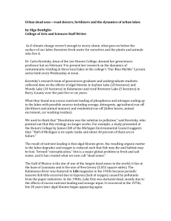 Urban dead seas&mdash;road deicers, fertilizers and the dynamics of