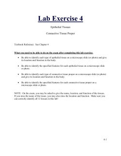 Lab Exercise 4