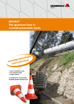 DELTAX®: The quantum-leap in rockfall protection mesh