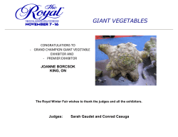 giant vegetables - Royal Winter Fair Exhibitors