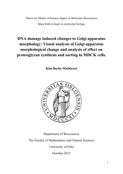 DNA damage induced changes to Golgi apparatus - DUO