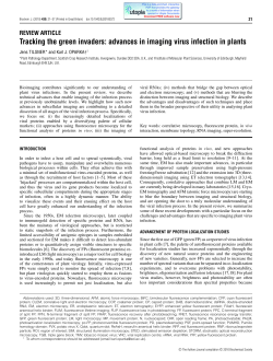 Tracking the green invaders: advances in imaging virus infection in