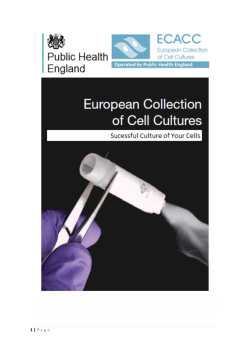 Successful Culture of ECACC-supplied Cells