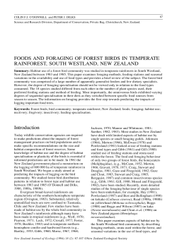 as a PDF