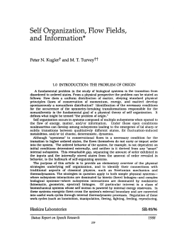 Self Organization, Flow Fields, and Information