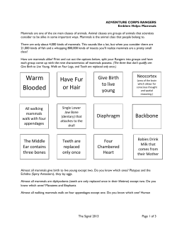 Mammals - Central Youth Network
