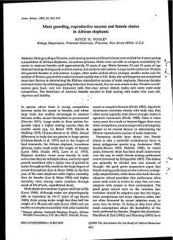 Neat Document- - ElephantVoices